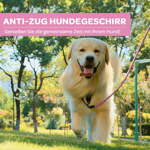 Vista 7 de FURRYFECTION - Arnés para perro a cuadros con correa y cinturón de Rosa