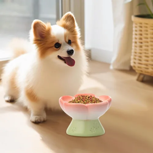 Vista 8 de Cuenco elevado de cerámica para perros para alimentos secos y húmedos, cuenco elevado de comida para gatos de superficie lisa, cuencos de comida