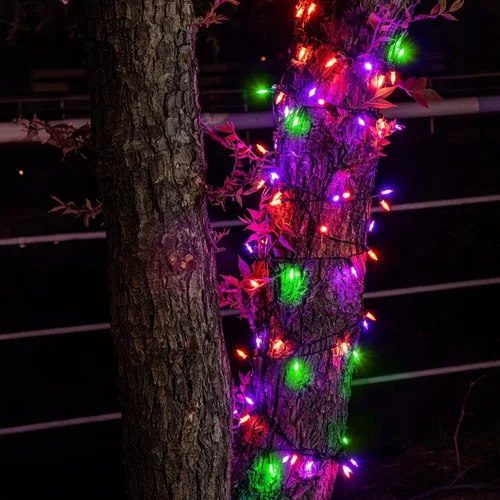 Vista 6 de Dazzle Bright Mini cadena de 200 luces LED de Halloween, 65 pies, conectables, impermeables, 8 modos, luces de hadas para interiores y exteriores