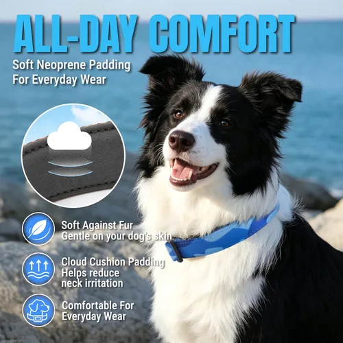 Vista 4 de Collar para perro acolchado suave, cuello de 9'' a 14'', collar ajustable de servicio pesado con logotipo reflectante 3M para perros pequeños, azul