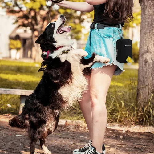 Vista 6 de Bolsa de golosinas para perros, soporte para bolsas de excrementos de perro para correas, contenedor de aperitivos para mascotas con bolsa