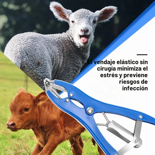 Vista 7 de Kit de Anillado para Cabras, Elastrador de Acero Inoxidable con 200 Piezas de Bandas de Goma de 3 Tamaños y Herramienta Expansora para el Manejo
