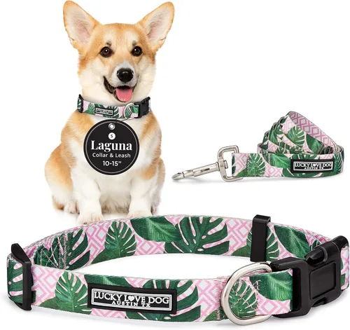 Vista 88 de Lucky Love Dog - Collar para perras pequeñas, diseño Blackbird de estampado alegre con flores de primavera y verano, talla XS Collar Blackbird