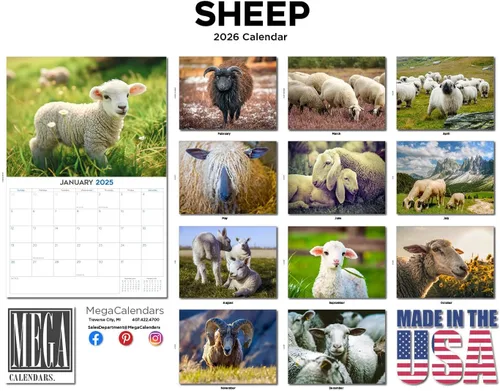 Vista 568 de Calendario de grises africanos 2025 2026 – Planificador mensual de pared de aves africanas – 12 x 18 pulgadas (abierto), calendario de pared