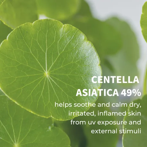 Vista 4 de IUNIK Centella Calming Moisture Daily Sunscreen SPF 50+ PA +++ Mate & No White Cast Centella Asiatica Dry Graso Sensible Vegano Coreano Cuidado