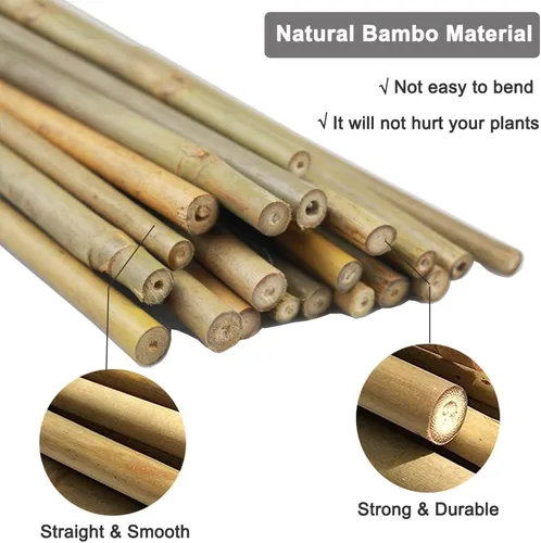 Vista 3 de 20 estacas de bambú natural de 18 pulgadas para plantas de interior, palos de bambú, estacas de bambú de jardín para plantas en maceta, tomate