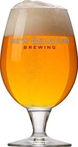 Vista 2 de Nuevo Belgium Fat Tire Ale Globe - Juego de cristalería - 2 vasos