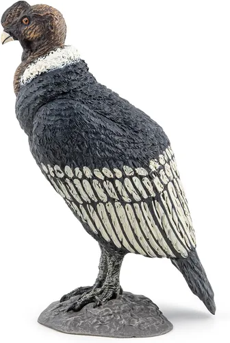 Vista 2 de Papo - Figura realista de cóndor - A partir de 3 años - Colección Wild Life - Juego educativo de aves de presa - Juguete de idea de regalo