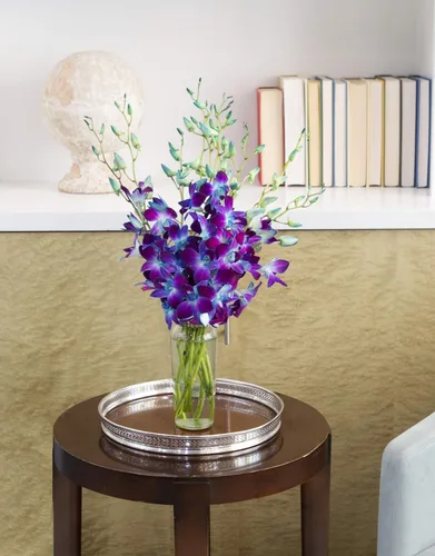Vista 6 de Kabloom 10 Tallos Blue Valentine Dendrobium orquídeas, 2.5 libras