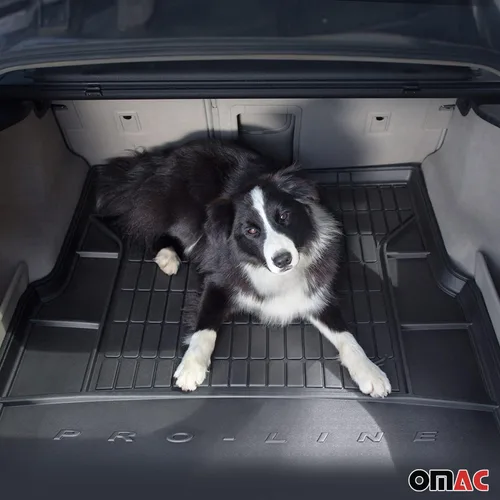 Vista 2 de OMAC Alfombrillas de carga prémium para Mini Cooper S 2014-2018 para todo tipo de clima resistentes