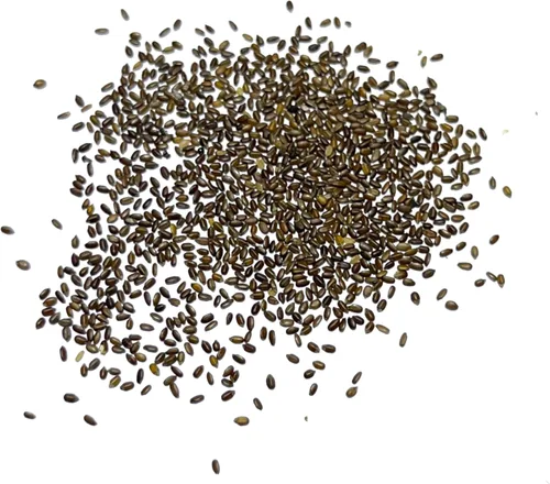 Vista 6 de Seed Needs Semillas de limón y menta para plantar hierbas anuales sin OMG, 1 paquete