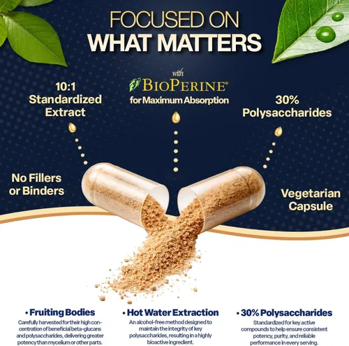 Vista 5 de Natures Elements Hongo melena de león con BioPerine – Extracto 10:1 – 1000 mg melena de león + 10 mg de bioperina – 30% polisacáridos – 60 cápsulas