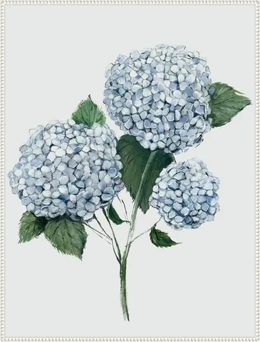 Vista 9 de Amanti Art Framed Canvas Wall Art 24x18 Fresh Blue Hydrangea II by Hannah Dawson, Framed Wall Art Canvas, Flowers Artwork, Traditional Decor, Medium
