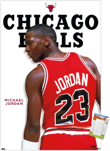 Vista 10 de Trends International Michael Jordan - Póster de pared de la serie de características, 22.4 pulgadas de largo x 14.7 pulgadas, versión enmarcada