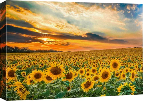 Vista 11 de SIGNFORD Lienzo impreso para pared, bosque brumoso, amanecer, bosques encantados y luz matutina, fotografía, realismo, decorativo, escénico