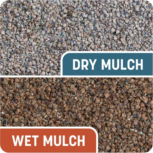 Vista 4 de Pennington Smart Patch mezcla de semillas de Bermuda para parches, 5 libras