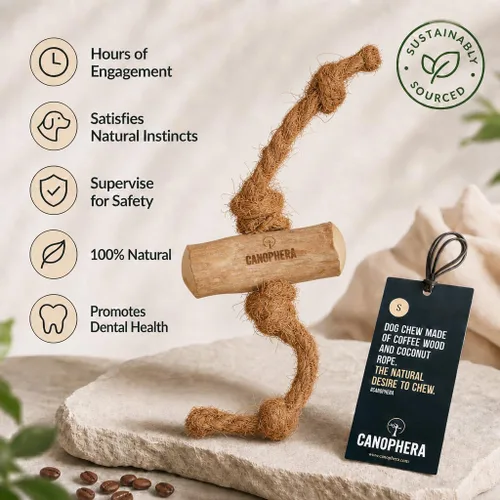 Vista 9 de Canophera Juguete masticable de madera y coco para perros para dientes y encías saludables, tamaño pequeño, todas las razas de perros