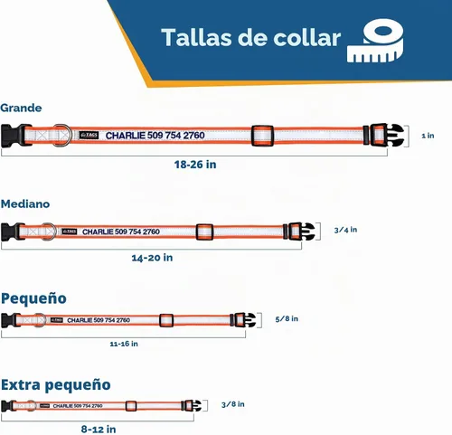 Vista 8 de GoTags Collar de perro personalizado reflectante, collar de seguridad Beige