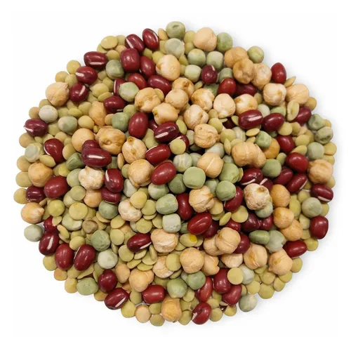 Vista 3 de Food to Live Mezcla orgánica crujiente de granos germinantes, 8 onzas sin OMG, Kosher, no irradiados, veganos, crudos, secos, a granel, guisantes