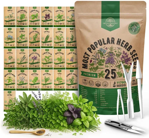 Vista 10 de Organo Republic Paquete variado de 12 semillas de hierbas culinarias - 7,355+ semillas criollas, sin transgénicos, para jardinería en interiores