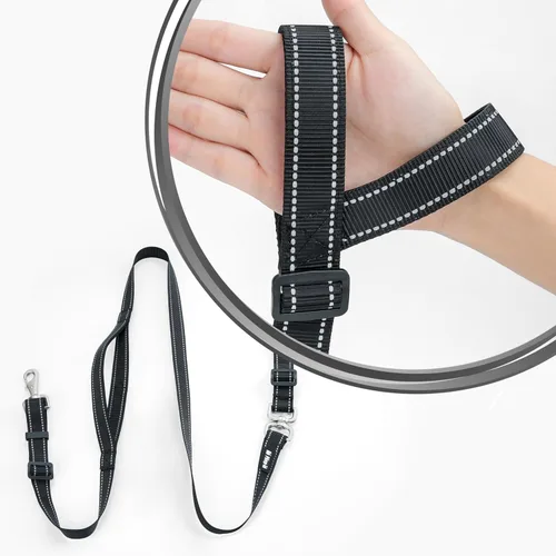 Vista 14 de Correa antideslizante para perro, correa y collar de entrenamiento resistente sin tirones con antienredos, mango acolchado e hilo reflectante