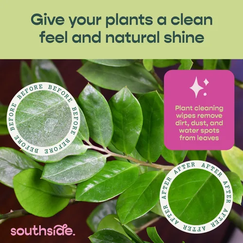 Vista 2 de Southside Plants - Toallitas de limpieza de plantas suaves a base de plantas para hojas brillantes y mejor fotosíntesis, sin perfume, extra grueso
