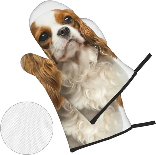 Vista 3 de Cavalier King Charles Spaniel - Juego de 4 manoplas para horno y ollas para perros, resistentes al calor, con capa interior de algodón