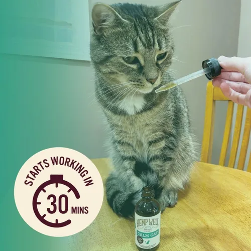 Vista 3 de Hemp Well Aceite para gatos tranquilo, cáñamo orgánico, viajes, ansiedad y apoyo al estrés