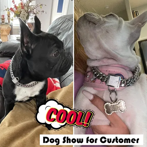 Vista 7 de Collar de perro con cierre de circonita de 0.555 pulgadas, collar de metal plateado para cachorros, collar de lujo para perro, pequeño mediano