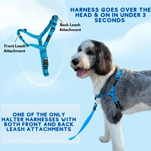 Vista 6 de ShawnCo Dream Walk Arnés para Perros Sin Tirones - Ajustable, Cómodo, Fácil de Usar, Cabestro para Mascotas para Ayudar a Detener los Tirones