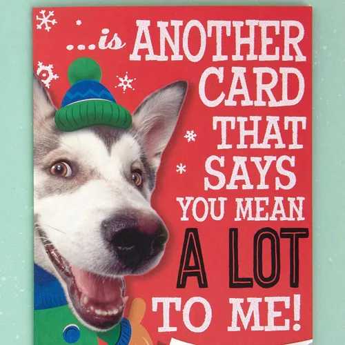 Vista 5 de Hallmark Tarjeta de Navidad (perro juguetón, diseño interior de tarjeta)