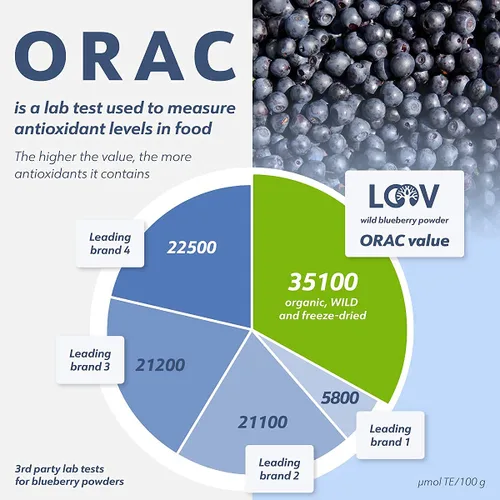 Vista 2 de Paquete – 2 artículos: Polvo orgánico de arándanos silvestres LOOV y copos de levadura nutricional orgánica no fortificada