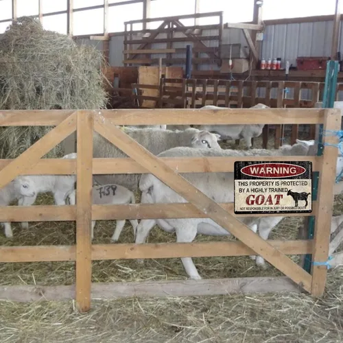 Vista 5 de Letrero de metal vintage de alpaca con advertencia "Esta propiedad está protegida por alpacas altamente entrenadas", letrero de patio
