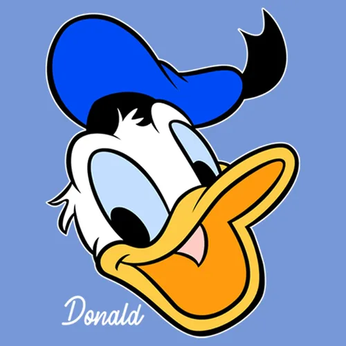 Vista 2 de Disney Characters Donald Big Face - Camiseta de rendimiento para niño