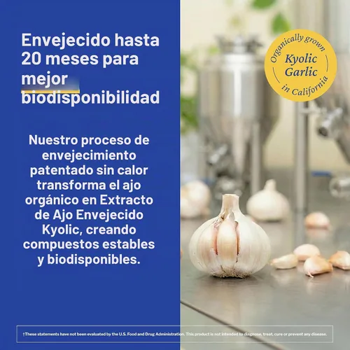 Vista 6 de Kyolic Fórmula 104 Aged Extracto de ajo, Lecitina, Colesterol, Cápsulas, 182402, 1, 1 Extracto de ajo envejecido orgánico inodoro y lecitina