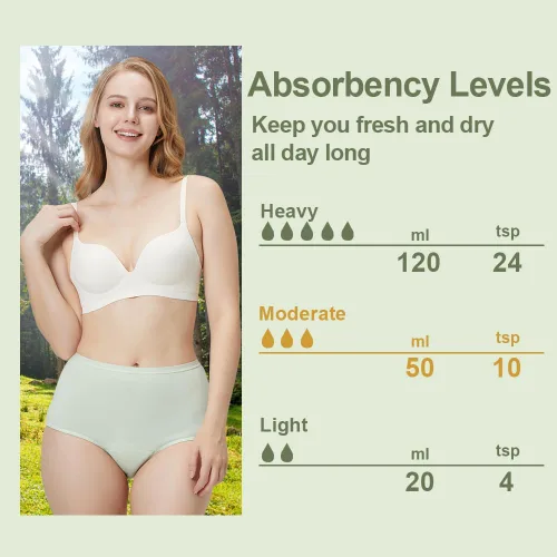 Vista 2 de Battewa Ropa interior absorbente lavable para incontinencia regular para mujer, bragas reutilizables a prueba de fugas para pérdida de orina