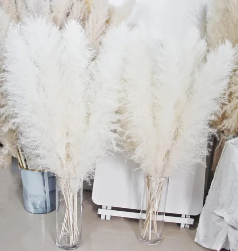 Vista 5 de 10 tallos de hierba de las pampas blanca de 40 pulgadas, decoración alta, hierba de las pampas grande, ramo de decoración del hogar bohemio neutro.