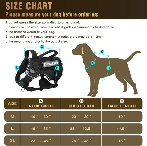 Vista 6 de WINSEE - Chaleco para perro Molle con hebilla de metal, 2 unidades, con 10 parches para mascotas Tactical Dog Harness for Medium Dog, No-pull