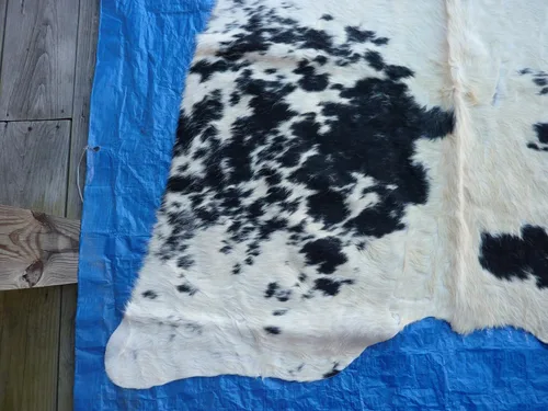 Vista 4 de SAFAVIEH Cow Hide Collection - Alfombra decorativa, 4 pies 7 pulgadas x 5 pies 8 pulgadas, color blanco y negro, hecho a mano, rústico y auténtico