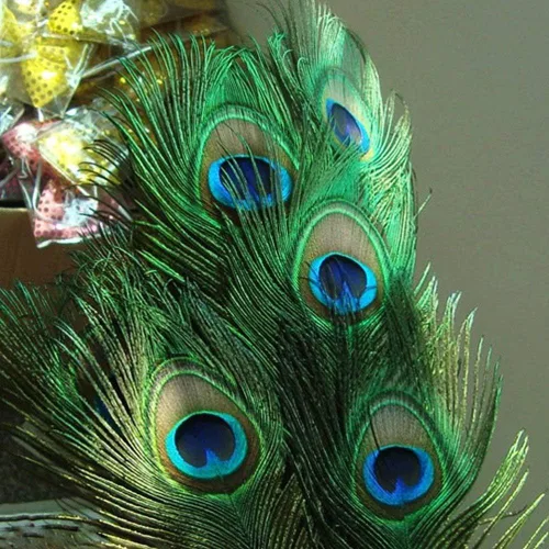 Vista 6 de 100 plumas de pavo real naturales con ojo