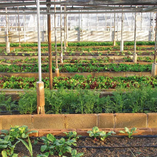 Vista 7 de Estacas de jardín de 6 pulgadas, grapas de metal para paisaje, estacas de calibre 11, estacas de acero galvanizado, grapas de seguridad para barrera