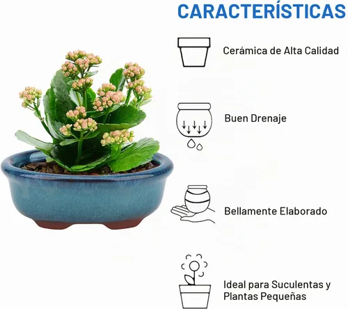 Vista 6 de kilofly Happy Bonsai - Juego de 4 macetas esmaltadas con 4 pantallas de drenaje de malla suave