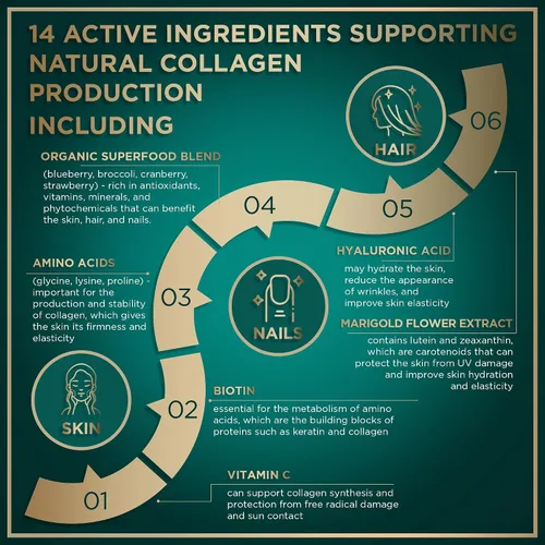 Vista 5 de WILD FUEL Creador de colágeno vegano – Biotina, superalimento orgánico, aminoácidos glicina, lisina, prolina suplementos de colágeno a base