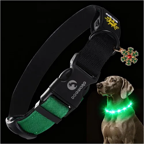 Vista 9 de DOGWONG Collar de perro con luz LED para Halloween, recargable e impermeable, collares de perro iluminados para otoño para caminar por la noche