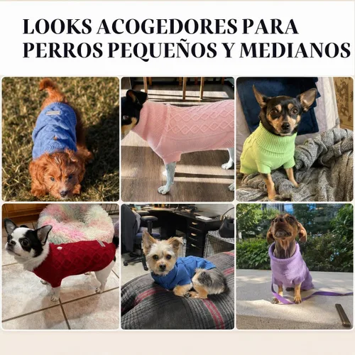 Vista 4 de Suéteres pequeños para perros, ropa de cuello alto de punto suave para clima frío, suéter ligero y cálido para cachorros para chihuahua, yorkie Azul