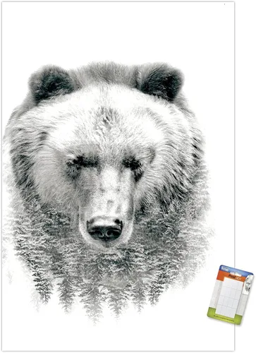 Vista 9 de Trends International Póster de pared de oso - árboles, 14.725 x 22.375 pulgadas, versión enmarcada de madera de granero