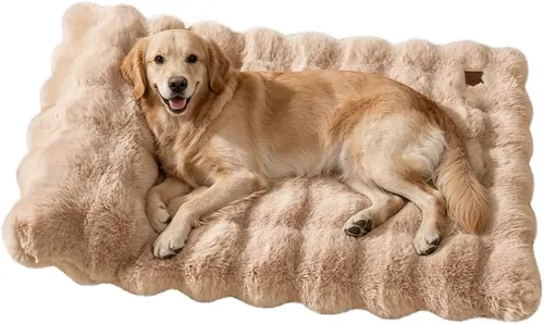 Vista 10 de SOMAHE Cama para gatos y alfombrilla para perros pequeños, almohada elevada Blanco