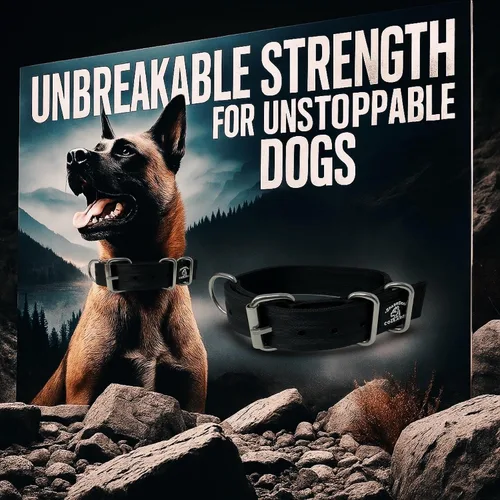 Vista 8 de SparkDog - Collar de perro resistente de 1.5 pulgadas, correa ajustable de grado de cinturón de seguridad con herrajes de acero inoxidable