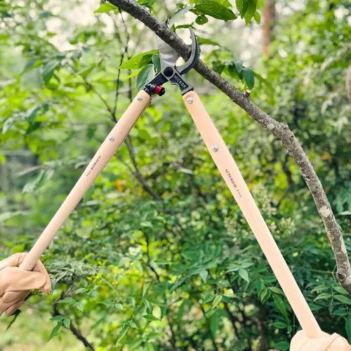 Vista 8 de Hickok Podadora de Árboles de Servicio Pesado – Cortador de Ramas de Árboles de 30" de Largo Alcance con Mangos de Madera de Hickory Herramienta