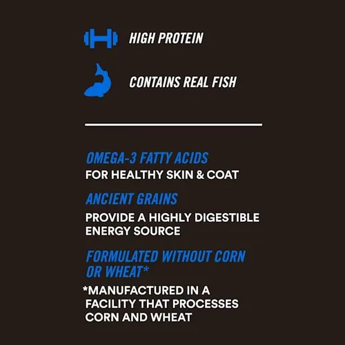 Vista 6 de WholeHearted Active Performance - Comida húmeda para perros con receta de pescado blanco y salmón con granos integrales, 12.5 onzas, caja de 12